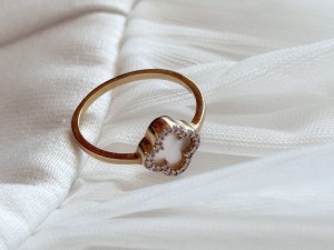 IMG_2435.jpeg