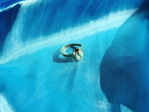 IMG_2254.jpeg