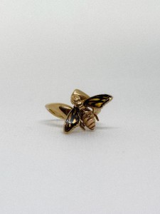 IMG_2581.jpeg