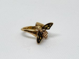 IMG_2590.jpeg