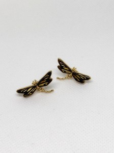 IMG_2971.jpeg